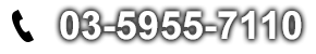 03-5955-7110